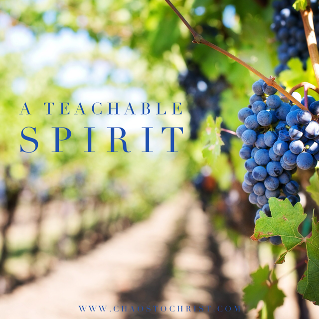 A Teachable Spirit | Chaos to Christ